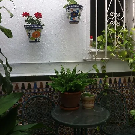 Berlin Marbella