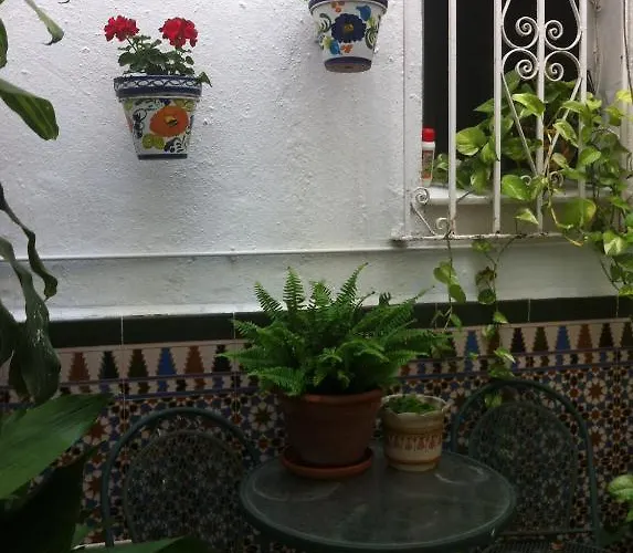 Berlin Marbella